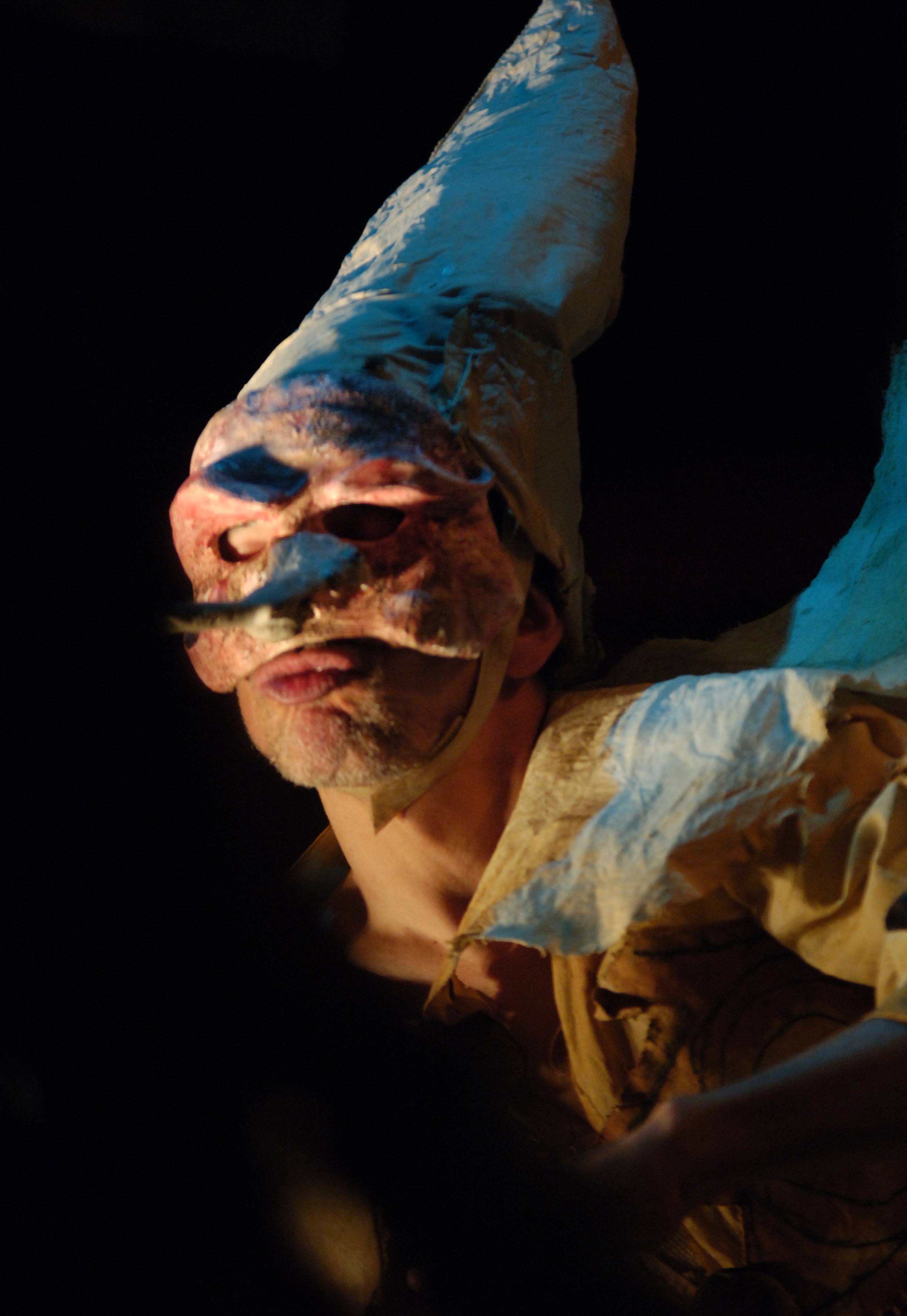 Pinocchio inCommedia dell