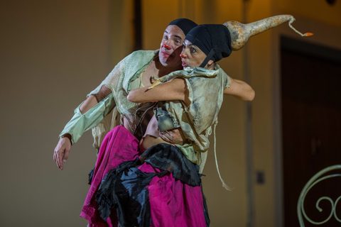 Le Nozze di Arlecchino — foto 30