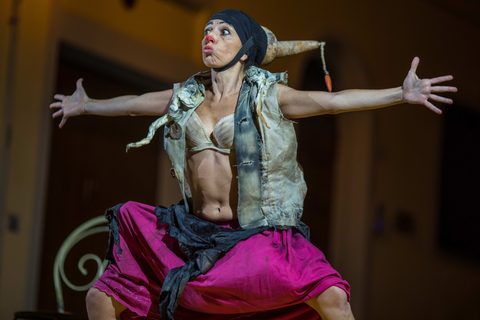 Le Nozze di Arlecchino — foto 31