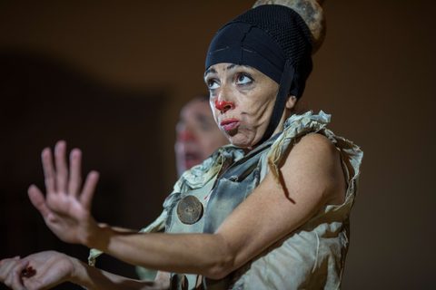Le Nozze di Arlecchino — foto 36